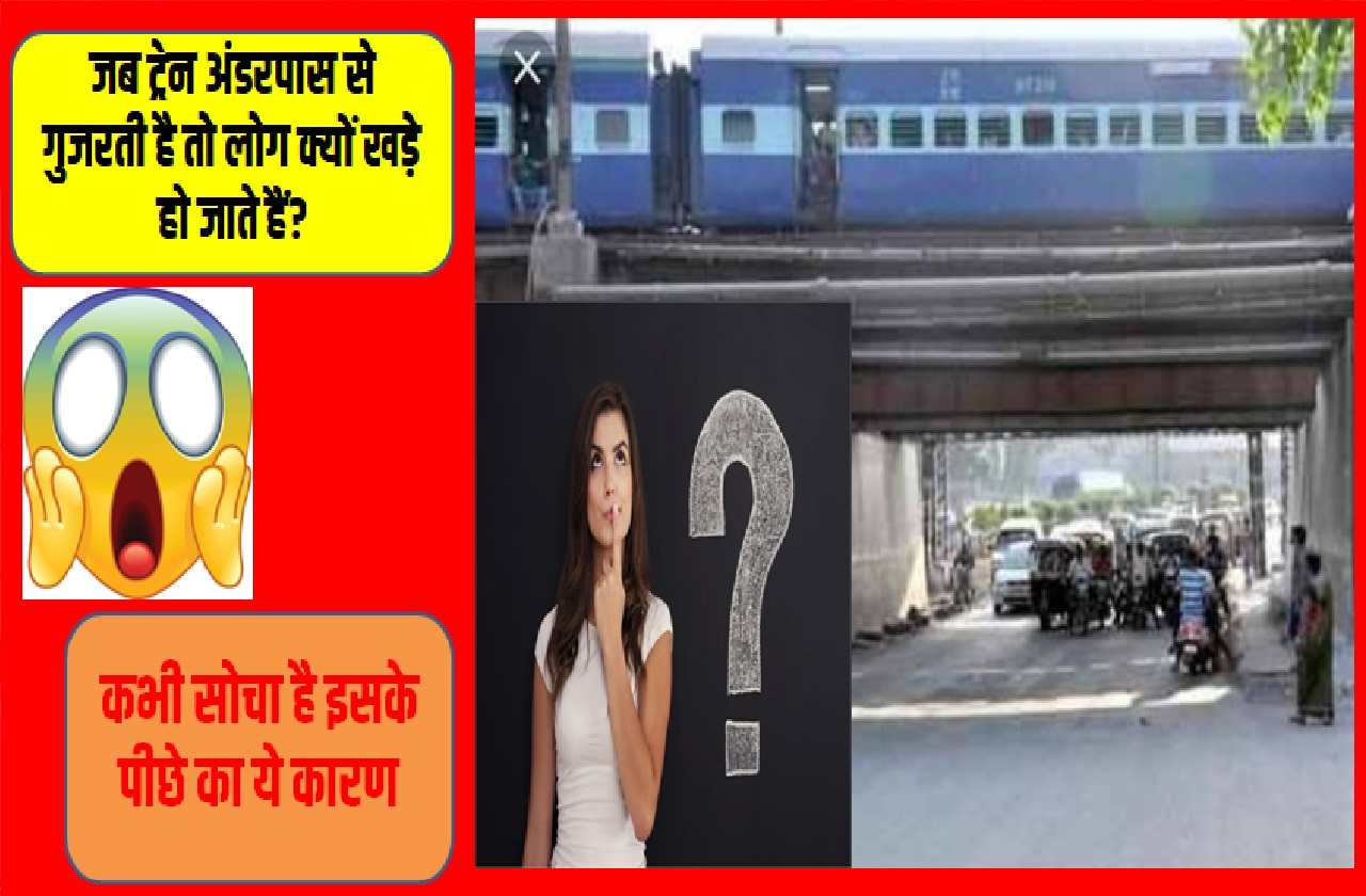 Interesting GK Questions 2023