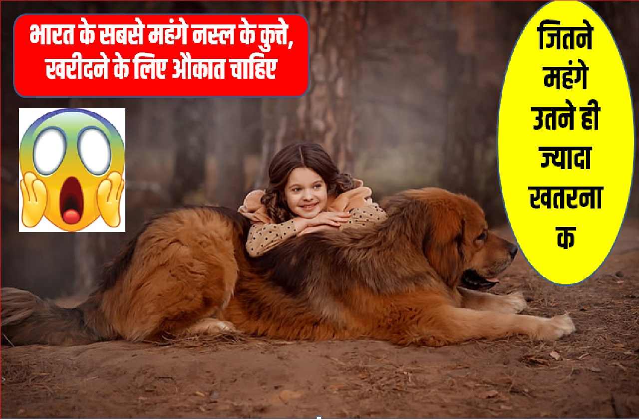 Most Expensive Dogs In India
